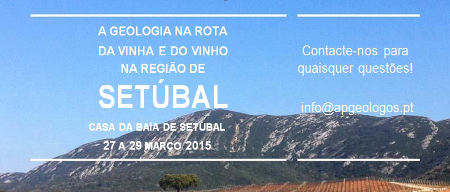 11NF2015 fim